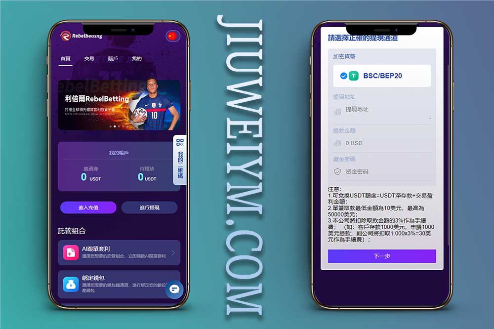 rebelbetting体育套利投资平台源码/理财投资/资金盘源码/带搭建教程